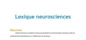Lexique neurosciences - Biologie PACES