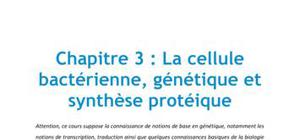 Chapitre 3 : la cellule bactérienne, génétique et synthèse protéique - Biologie PACES