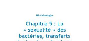 Chapitre 5 : la sexualité des bactéries, transferts horizontaux de gènes, Partie 1 : la conjugaison - Biologie PACES