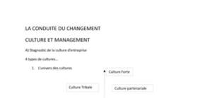 Culture et Management : La conduite du changement