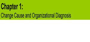 Change Cause and Organizational Diagnosis