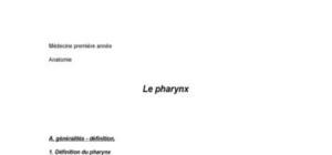 Anatomie du cou - Le Pharynx