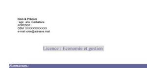 CV Licence Eco. & Gestion