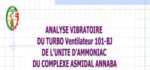 Analyse vibratoire de turbo Ventilateur 101-BJ 