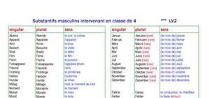 Substantifs masculins intervenant en classe de 4ème LV2