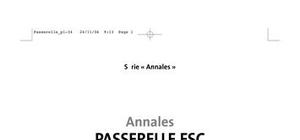 Annales PASSERELLE ESC Concours 2006