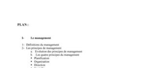 Principes de management  planification & organisation