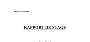 Dossier mémoire bts cgo (rapport de stage)