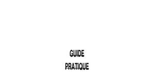Guide pratique merise
