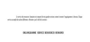 Service  ressources  humaines 
