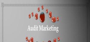 Importance de l'audit marketing,