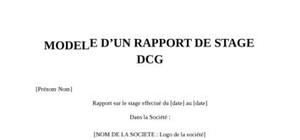 Rapport de Stage DCG