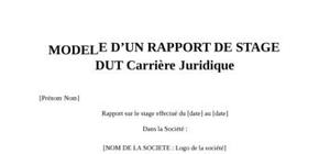 Rapport de Stage DUT Carrières Juridiques