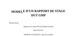 Rapport De Stage DUT GMP