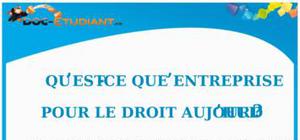 Notion d'Entreprise en Droit : Cours Droit Terminale STG