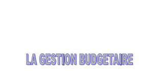 Cours :     gestion budgétaire