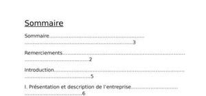 Rapport de stage onep