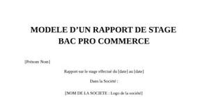 Rapport de Stage Bac Pro Commerce
