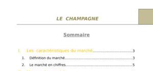 Etude de marché du champagne