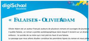 Falaises - Olivier Adam