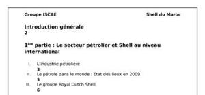 Le secteur pétrolier et shell au niveau national