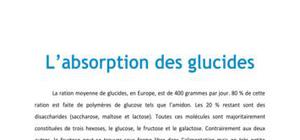 Doc - L'absorption des glucides PACES