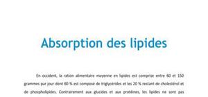 Doc - Absorption des lipides PACES