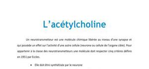 L'acétylcholine - Neurologie PACES