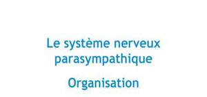 Le système nerveux parasympathique : Organisation