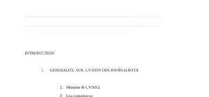 L'Union des journalistes  de COTE D'IVOIRE (unjci)